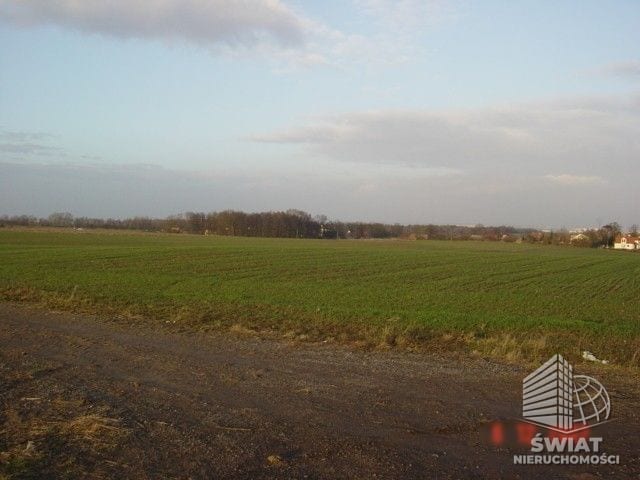 Działka na sprzedaż, Kołbaskowo Siadło Górne, 3000 m² — SCNS1160, zdjęcie 1