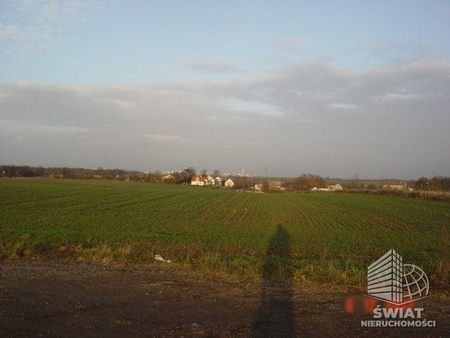 Działka na sprzedaż, Kołbaskowo Siadło Górne, 3000 m² — SCNS1160, zdjęcie 3