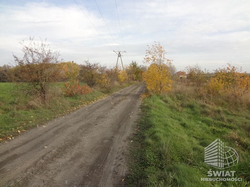 Działka na sprzedaż, Kołbaskowo Stobno, 21900 m² — HOR20510, zdjęcie 2
