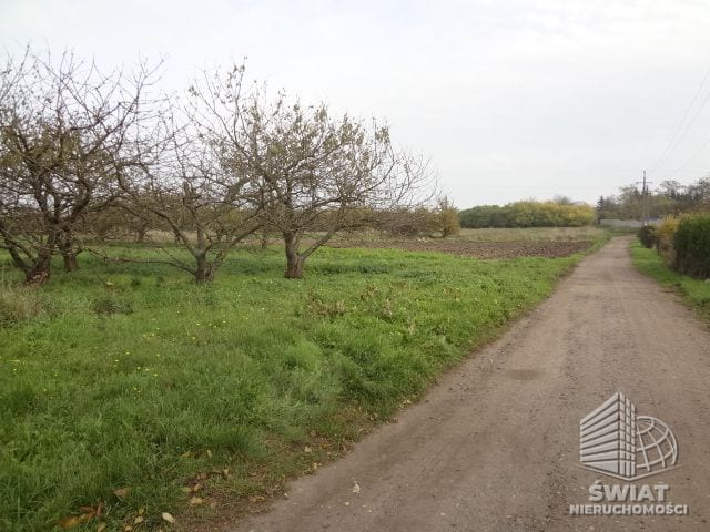 Działka na sprzedaż, Kołbaskowo Stobno, 21900 m² — HOR20510, zdjęcie 4