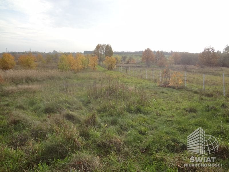 Działka na sprzedaż, Kołbaskowo Stobno, 21900 m² — HOR20510, zdjęcie 5