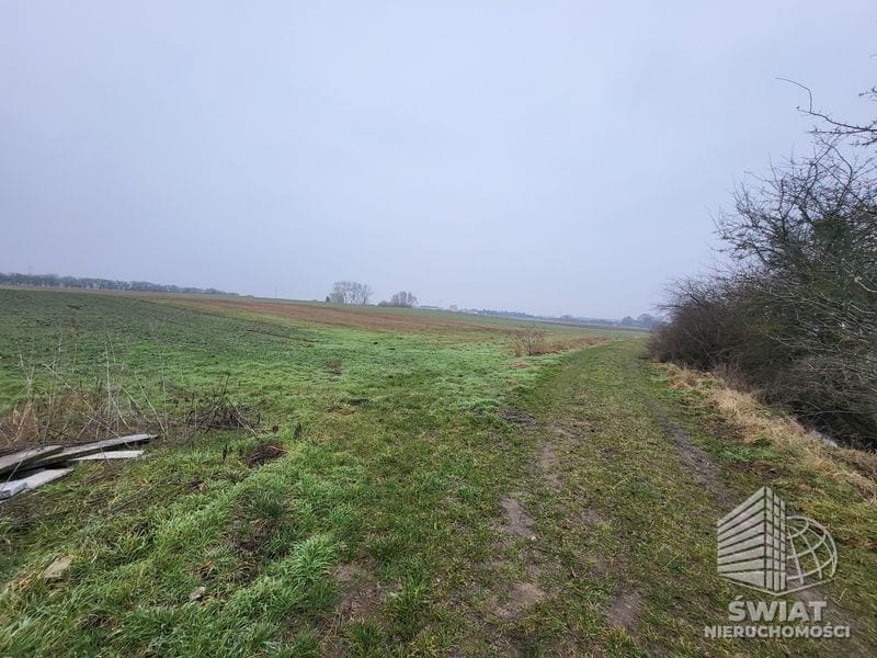 Działka na sprzedaż, Kołbaskowo Warzymice, 3000 m² — ARK26508, zdjęcie 1