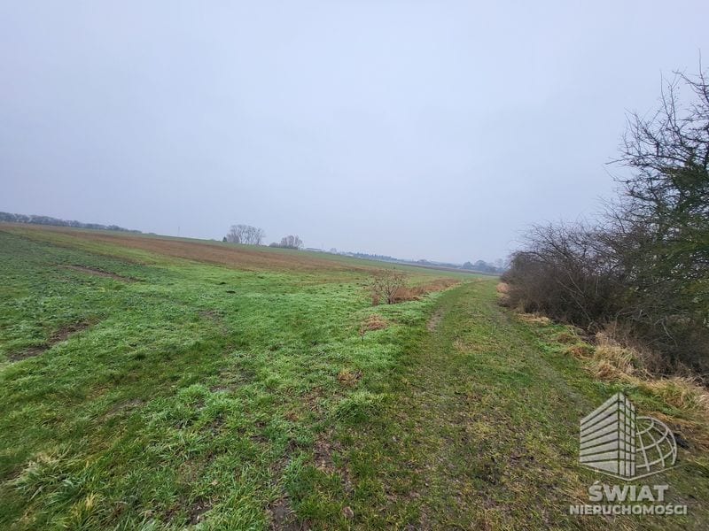 Działka na sprzedaż, Kołbaskowo Warzymice, 3000 m² — ARK26508, zdjęcie 4