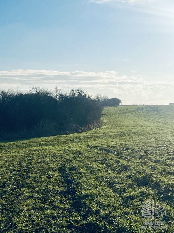 Działka na sprzedaż, Krajenka Skórka, 28500 m² — DZI20108, zdjęcie 2
