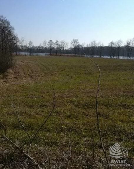 Działka na sprzedaż, Krzęcin Kaszewo, 3985 m² — IDN34087, zdjęcie 4