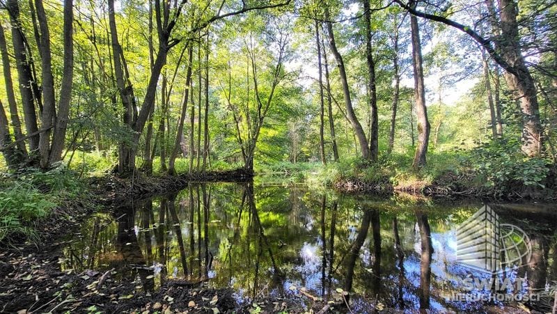 Działka na sprzedaż, Lubiszyn Staw, 40479 m² — INW30966, zdjęcie 1