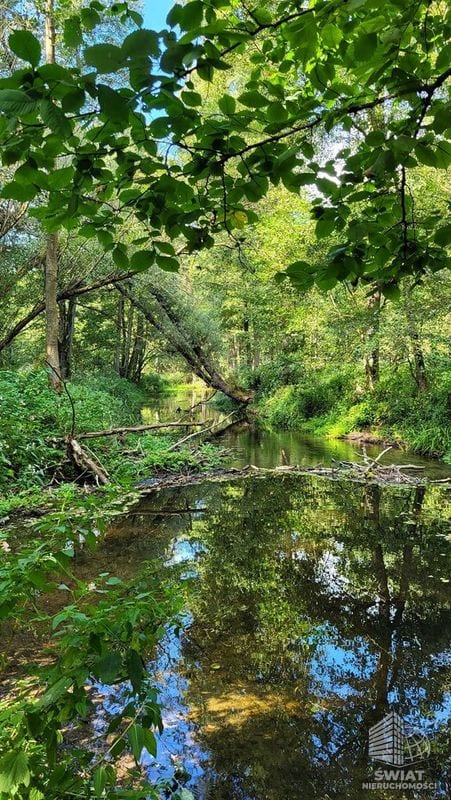 Działka na sprzedaż, Lubiszyn Staw, 40479 m² — INW30966, zdjęcie 2