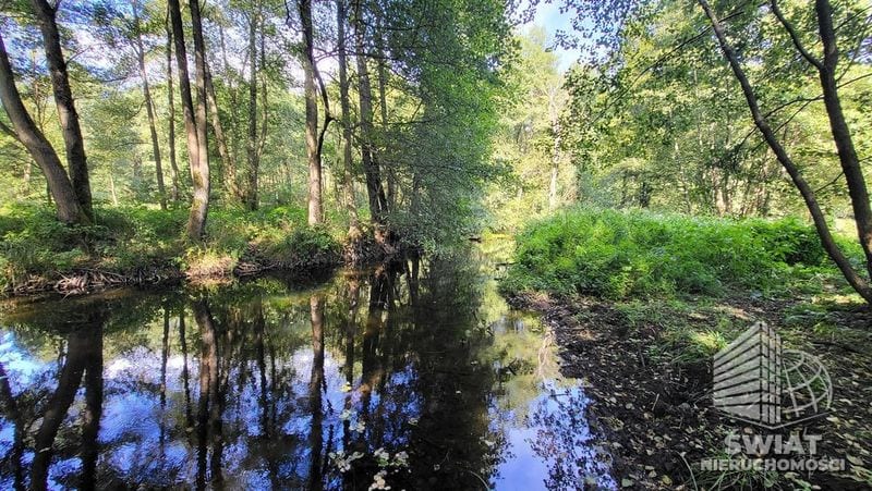 Działka na sprzedaż, Lubiszyn Staw, 40479 m² — INW30966, zdjęcie 3