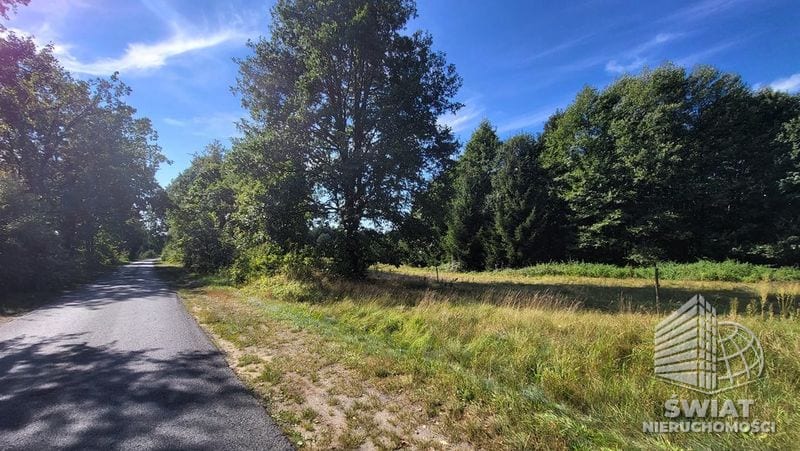 Działka na sprzedaż, Lubiszyn Staw, 40479 m² — INW30966, zdjęcie 5