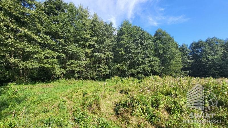 Działka na sprzedaż, Lubiszyn Staw, 40479 m² — INW30966, zdjęcie 6