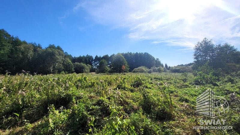 Działka na sprzedaż, Lubiszyn Staw, 40479 m² — INW30966, zdjęcie 7