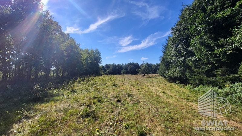 Działka na sprzedaż, Lubiszyn Staw, 40479 m² — INW30966, zdjęcie 8