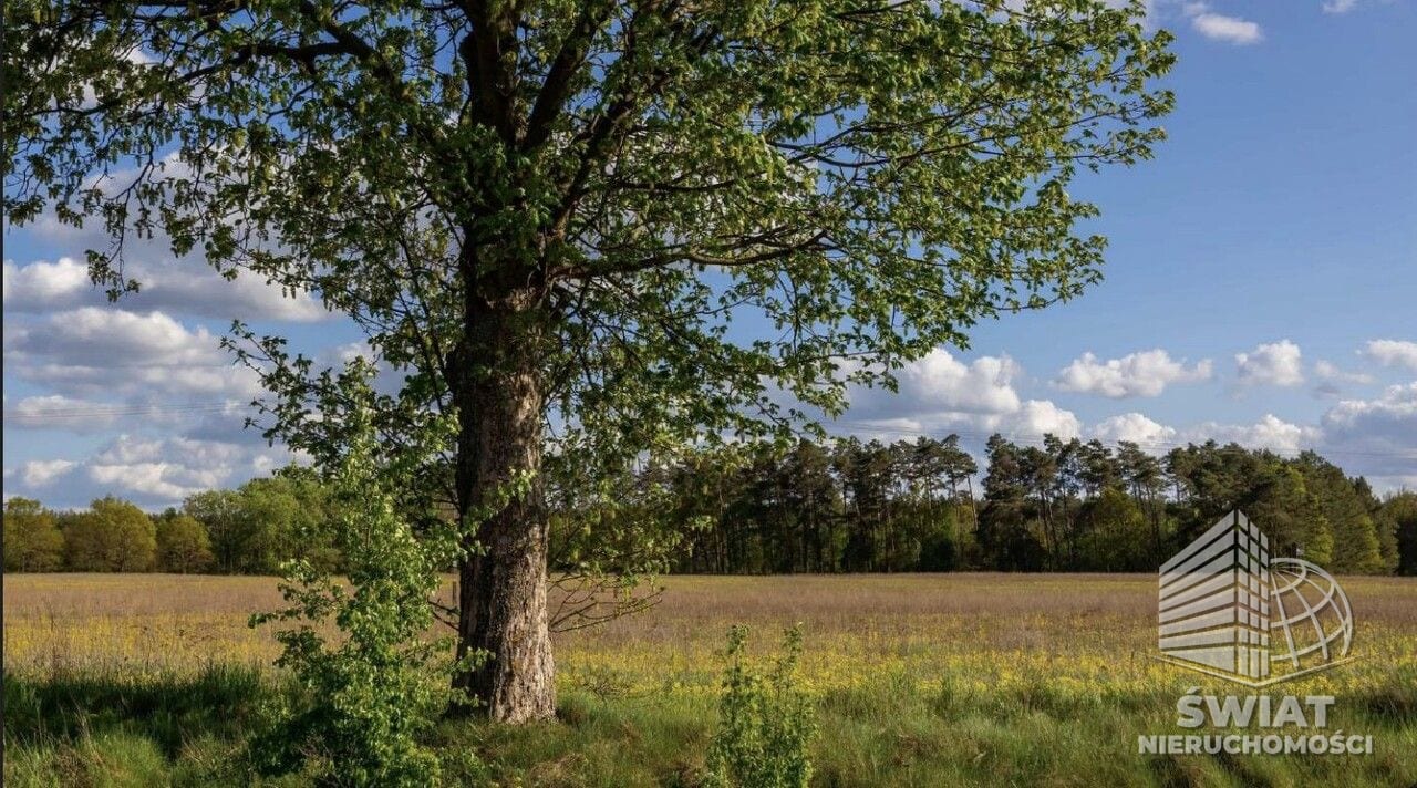 Działka na sprzedaż, Lubniewice Jarnatów, 66142 m² — CIT25336, zdjęcie 1