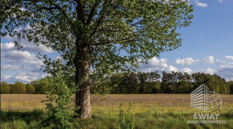 Działka na sprzedaż, Lubniewice Jarnatów, 66142 m² — CIT25336, zdjęcie 1