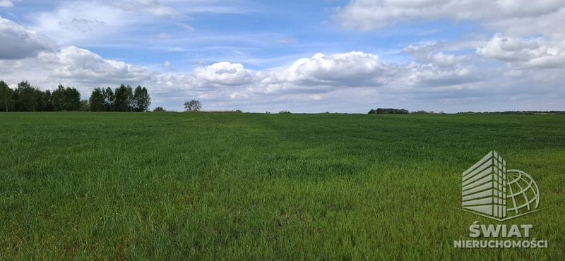 Działka na sprzedaż, Maszewo Bagna, 54555 m² — PTR26124, zdjęcie 4