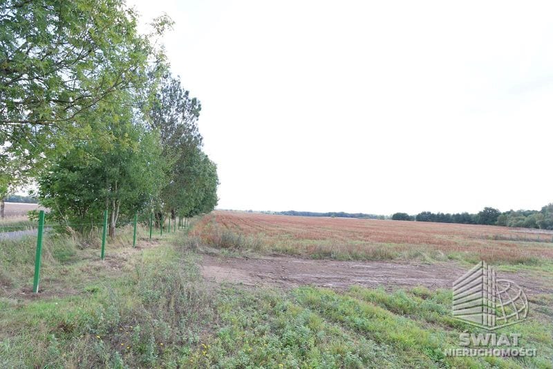 Działka na sprzedaż, Maszewo Dębice, 1597 m² — MNI22211, zdjęcie 1