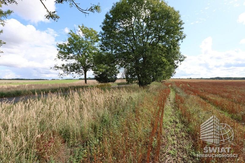 Działka na sprzedaż, Maszewo Dębice, 1597 m² — MNI22211, zdjęcie 6