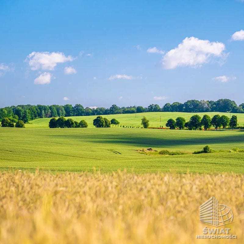 Działka na sprzedaż, Maszewo Przemocze, 883 m² — PTR26123, zdjęcie 2