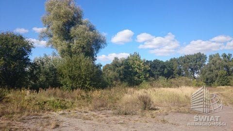 Działka na sprzedaż, Maszewo Radzanek, 126445 m² — HOR20765, zdjęcie 5
