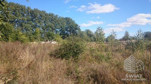 Działka na sprzedaż, Maszewo Radzanek, 126445 m² — HOR20765, zdjęcie 6