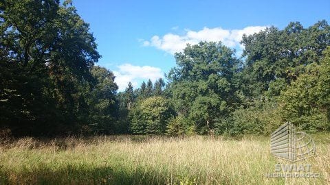 Działka na sprzedaż, Maszewo Radzanek, 126445 m² — HOR20765, zdjęcie 8