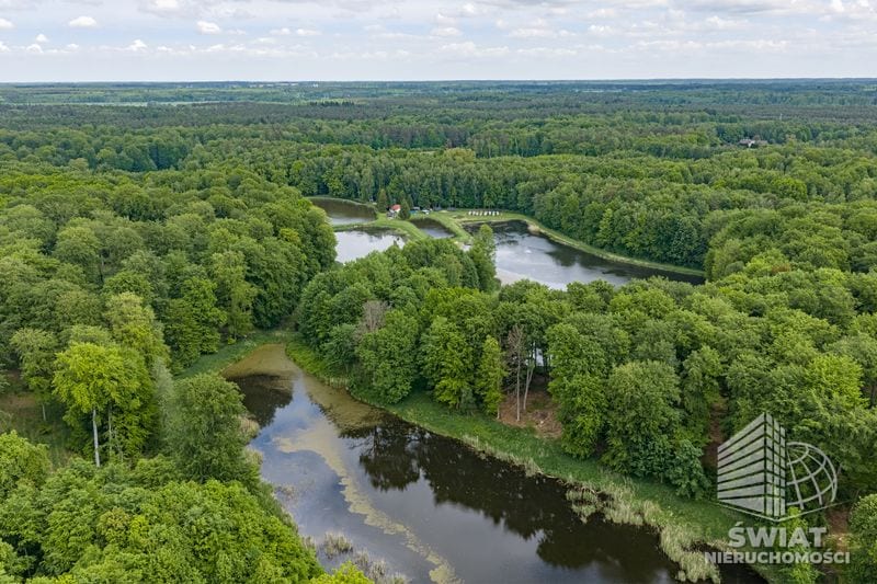 Działka na sprzedaż, Maszewo Wisławie, 95601 m² — BON49579, zdjęcie 6