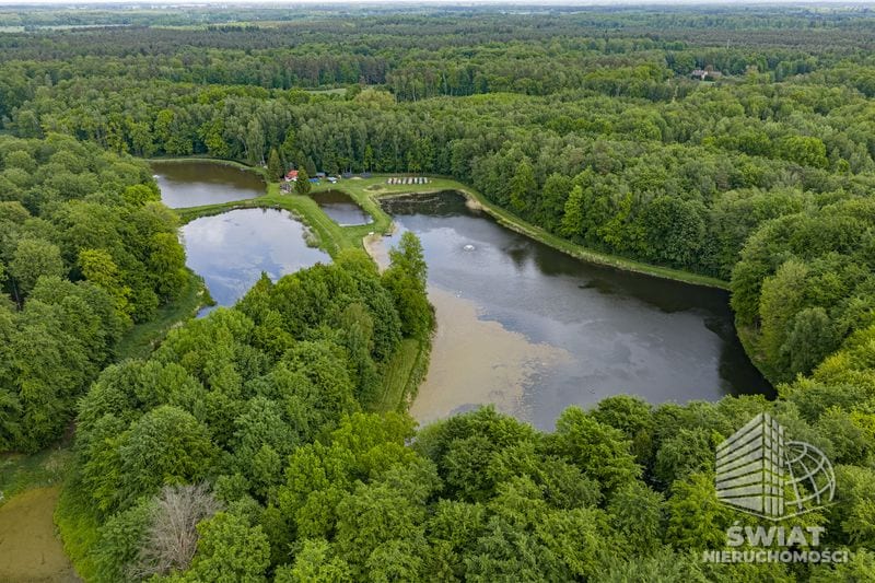 Działka na sprzedaż, Maszewo Wisławie, 95601 m² — BON49579, zdjęcie 7