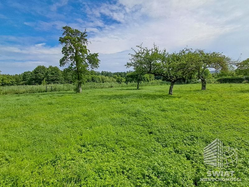 Działka na sprzedaż, Międzyzdroje Wapnica, 2223 m² — CIT25162, zdjęcie 6