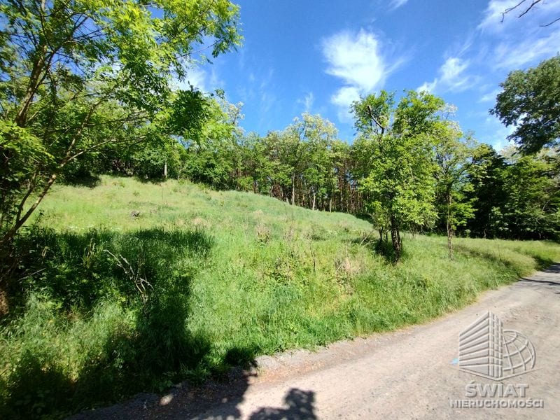 Działka na sprzedaż, Mieszkowice Stary Błeszyn, 1500 m² — PTR25807, zdjęcie 1