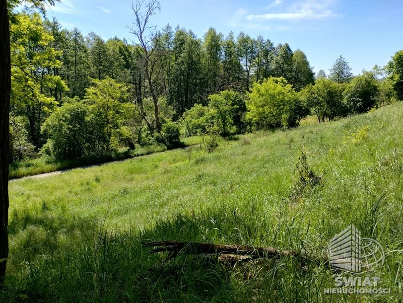 Działka na sprzedaż, Mieszkowice Stary Błeszyn, 1500 m² — PTR25807, zdjęcie 6