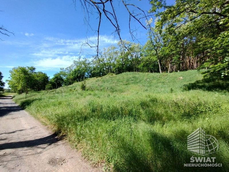 Działka na sprzedaż, Mieszkowice Stary Błeszyn, 1500 m² — PTR25807, zdjęcie 7