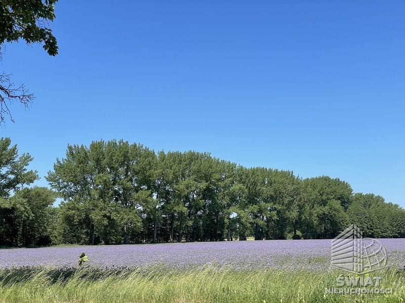 Działka na sprzedaż, Moryń, 1136 m² — BON45928, zdjęcie 1