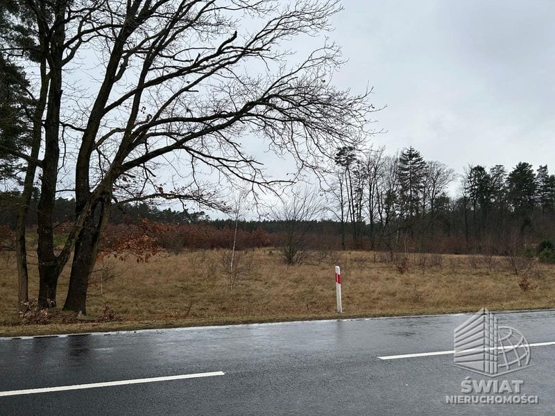 Działka na sprzedaż, Nowe Warpno Brzózki, 2337 m² — INS22068, zdjęcie 6