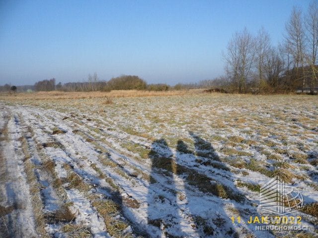 Działka na sprzedaż, Nowe Warpno Brzózki, 1173 m² — KOM31903, zdjęcie 2