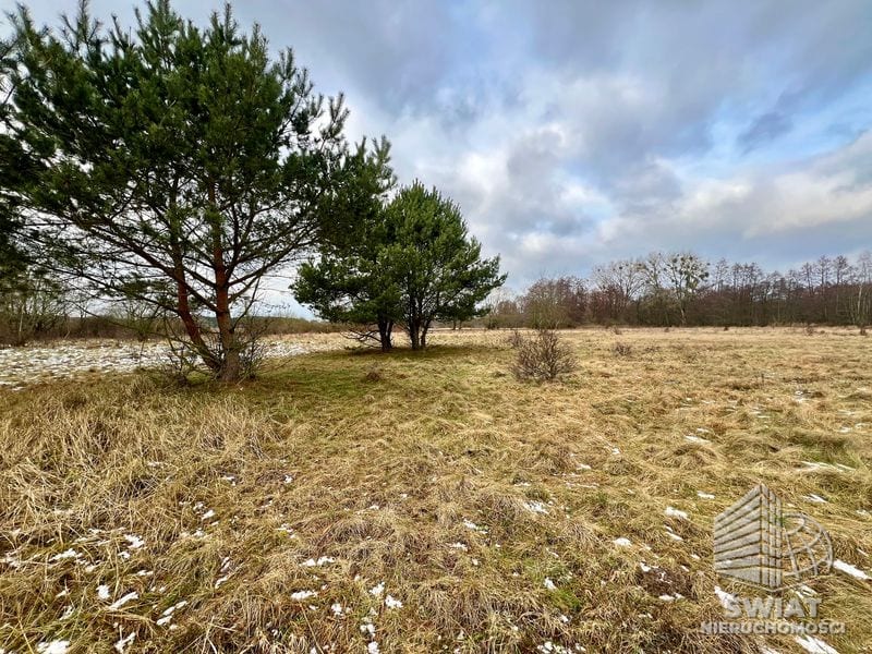 Działka na sprzedaż, Nowe Warpno Brzózki, 3405 m² — MAP22706, zdjęcie 8