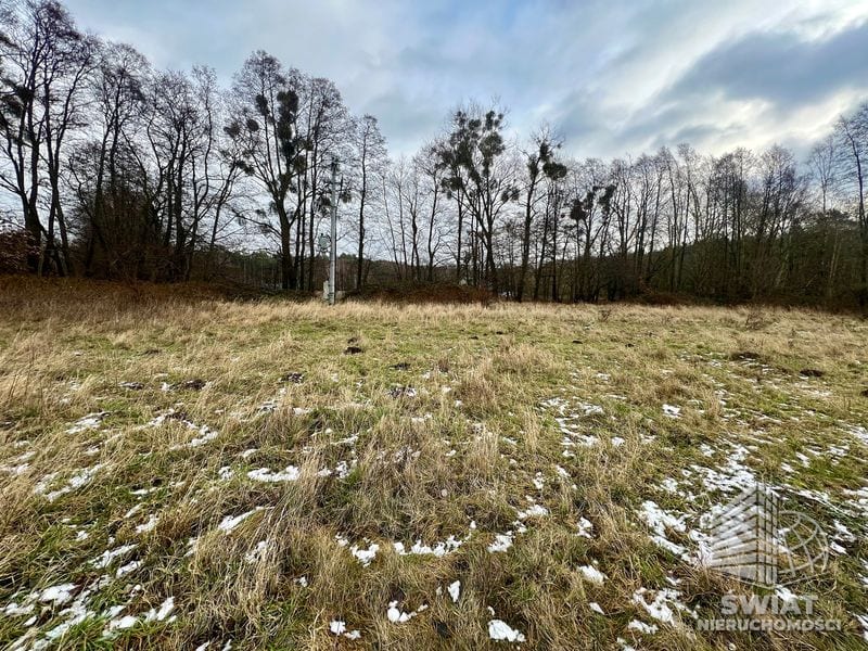 Działka na sprzedaż, Nowe Warpno Brzózki, 3235 m² — MAP22710, zdjęcie 7