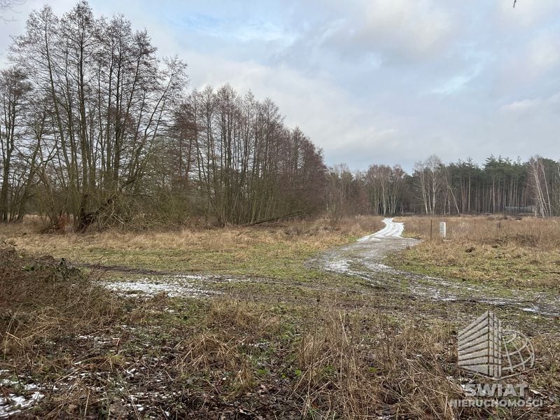 Działka na sprzedaż, Nowe Warpno Brzózki, 3235 m² — MAP22710, zdjęcie 8
