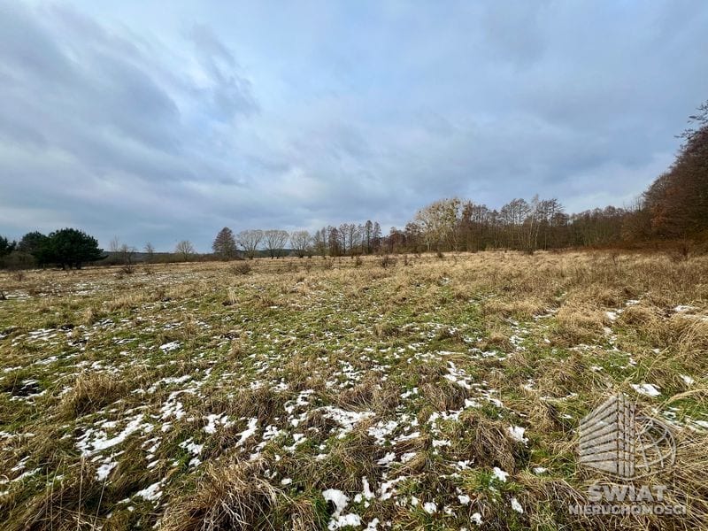 Działka na sprzedaż, Nowe Warpno Brzózki, 3128 m² — MAP22711, zdjęcie 5