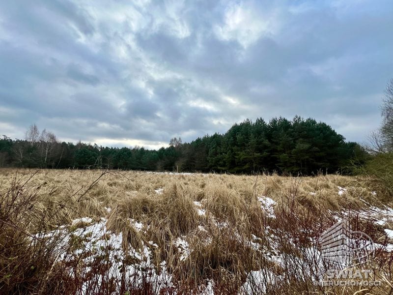 Działka na sprzedaż, Nowe Warpno Brzózki, 3039 m² — MAP22716, zdjęcie 5