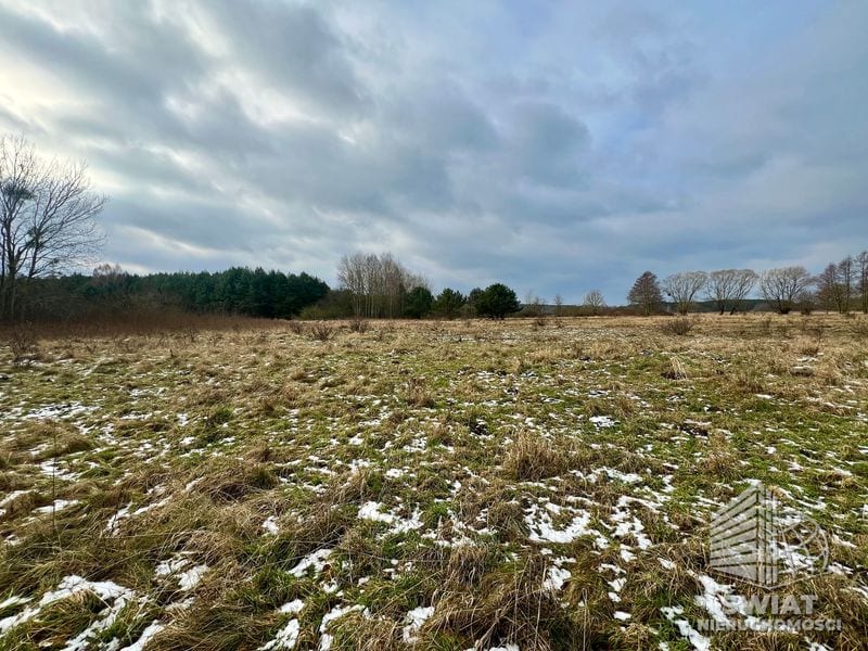 Działka na sprzedaż, Nowe Warpno Brzózki, 34547 m² — MAP22717, zdjęcie 4