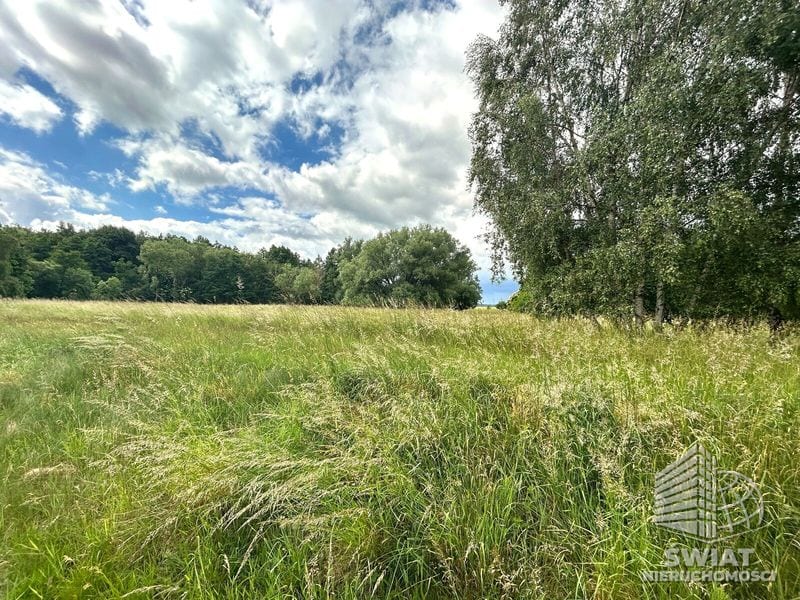 Działka na sprzedaż, Nowe Warpno, 1114 m² — LGR21995, zdjęcie 2
