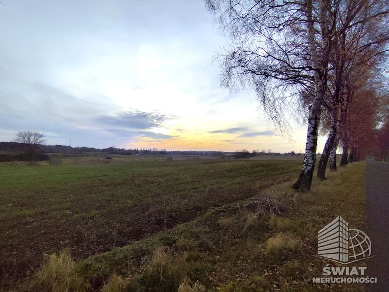 Działka na sprzedaż, Nowogard Wojcieszyn, 32500 m² — BON48860, zdjęcie 3