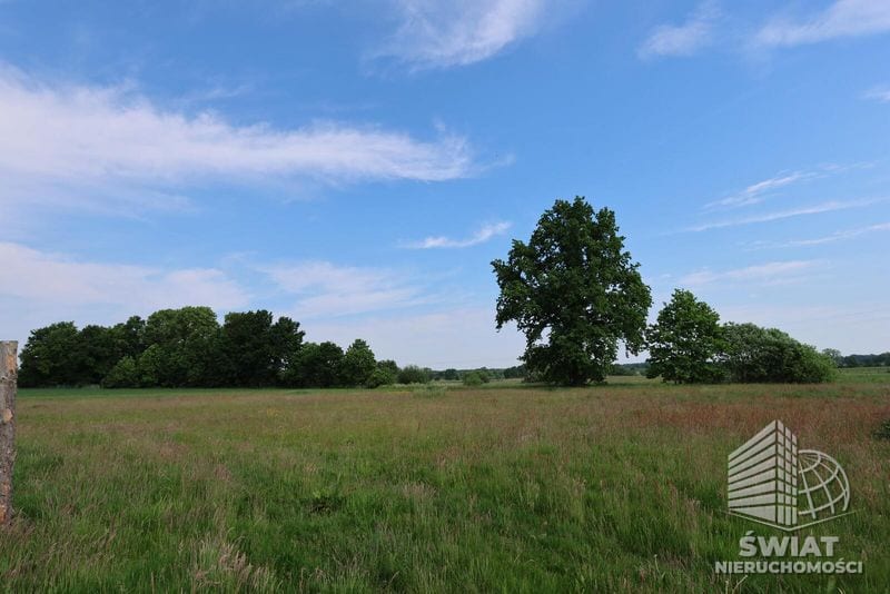 Działka na sprzedaż, Osina Kościuszki, 948 m² — MNI22225, zdjęcie 2