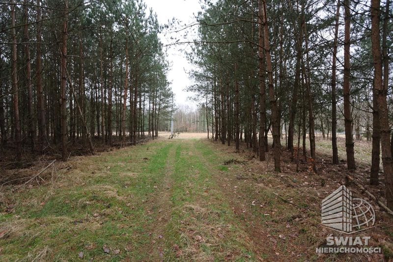 Działka na sprzedaż, Osina Krzywice, 3249 m² — MNI21577, zdjęcie 6