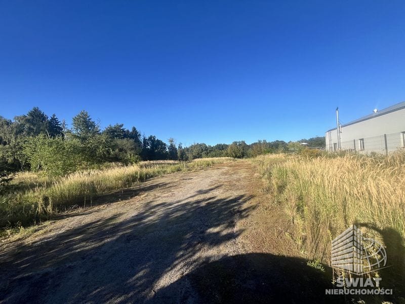 Działka na sprzedaż, Police Sierakowo, 3118 m² — INW33613, zdjęcie 6