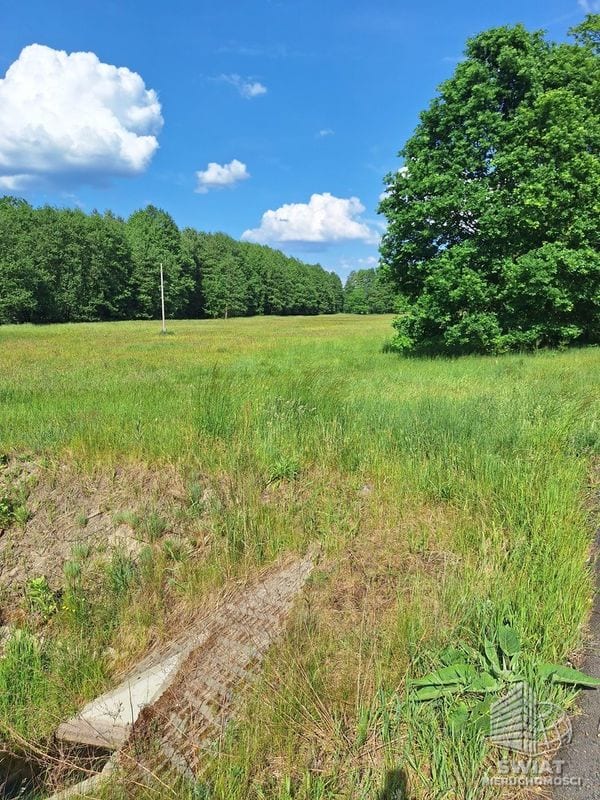 Działka na sprzedaż, Police Tanowo, 3143 m² — INW31429, zdjęcie 2