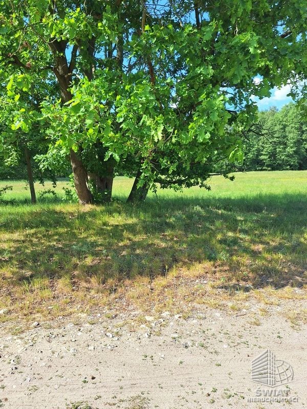 Działka na sprzedaż, Police Tanowo, 3362 m² — INW31431, zdjęcie 8