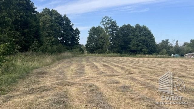 Działka na sprzedaż, Police Tatynia, 2507 m² — NEW20160, zdjęcie 7