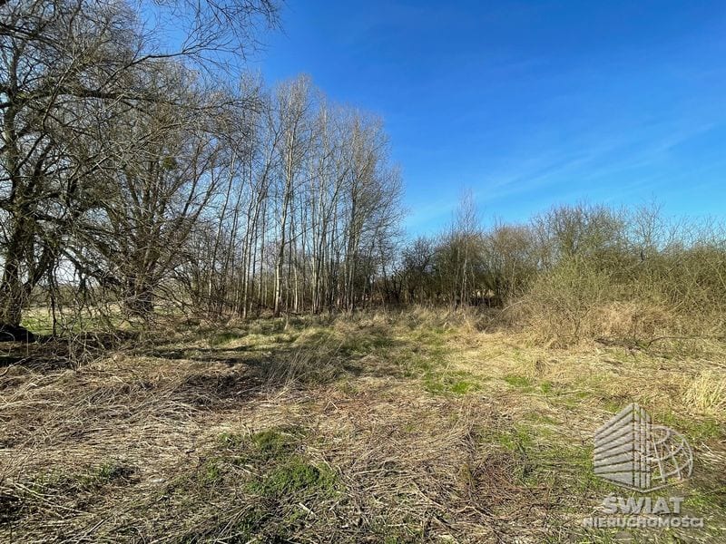 Działka na sprzedaż, Police Trzebież, 4800 m² — HAC22595, zdjęcie 1