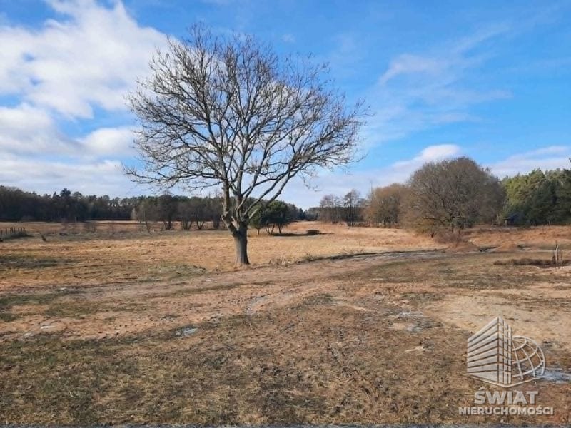 Działka na sprzedaż, Przybiernów Dzisna, 12185 m² — ROY04566, zdjęcie 3